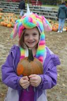 A call to fill the bridge with pumpkins