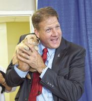 Sununu signs animal cruelty bills into law