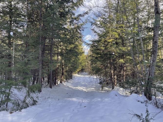 Bisson trail.jpg
