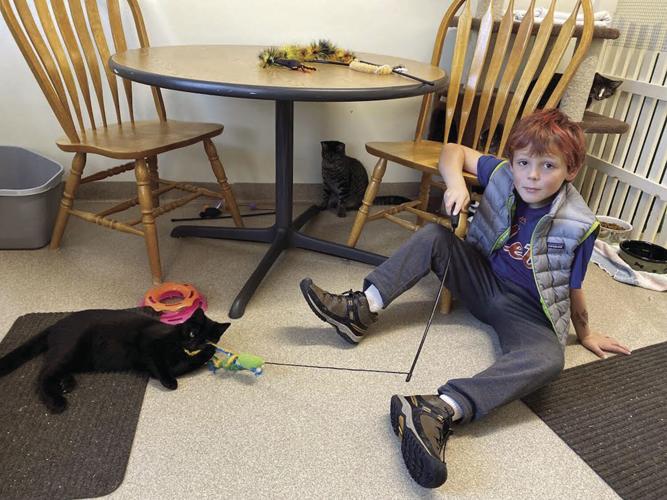 Oliver Blair with cats