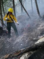 Unextinguished camp fire blamed for forest fire on Mt. Surprise