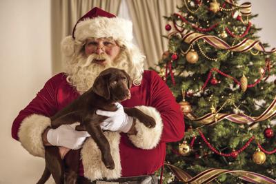 Pet Photos with the Man in Red