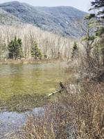 North Country Angling: Brook trout, yellow perch and dams