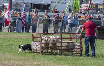 fair-2023-by-suze-kinney-20231001-010_53269853697_o 2.jpg