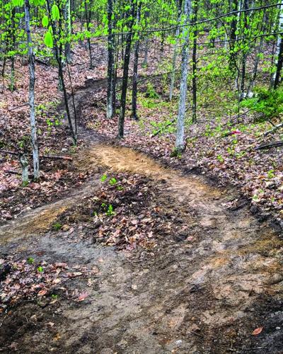 7- trail re-route.jpg