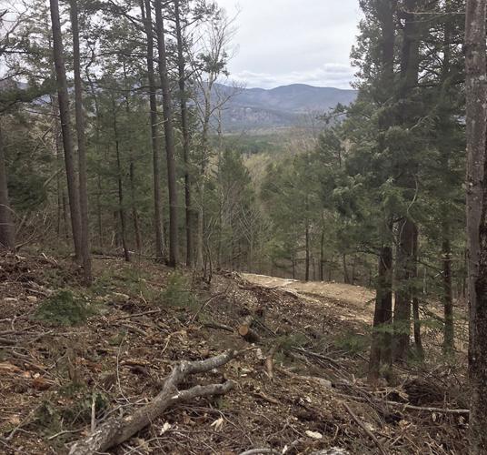Wheel Family Fun - the new Cranmore Connector trail