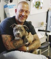 Pit bull owner apologizes for attack