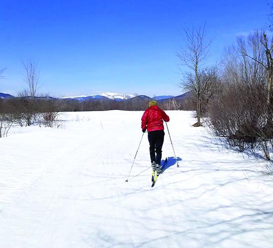 Nordic Tracks - skiing alone - intervale trails