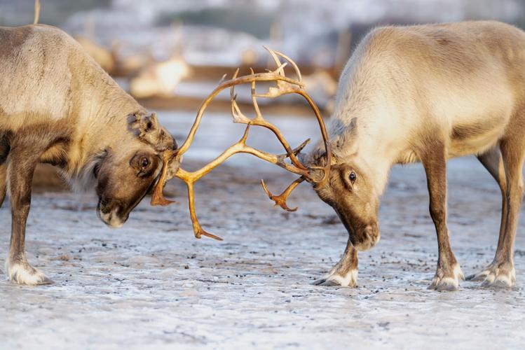 mylene-haudebourg-lwTh2UkIULQ-unsplash