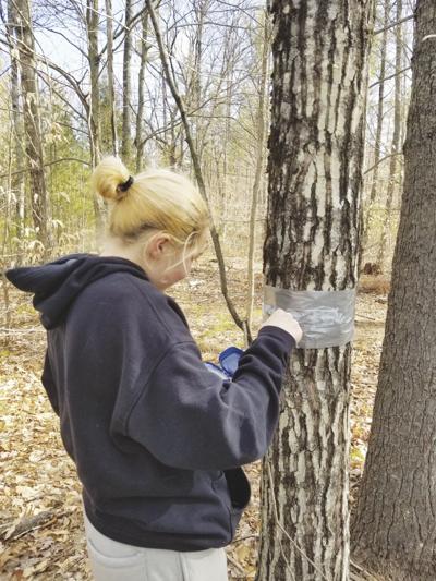 Tin Mountain- Kennett High School students celebrate Earth Day