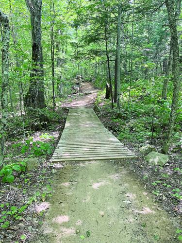 Wheel Family Fun - Green Woodland - bridge