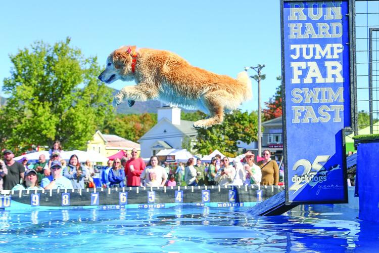 09-20-25 Bark in Park diving side in air