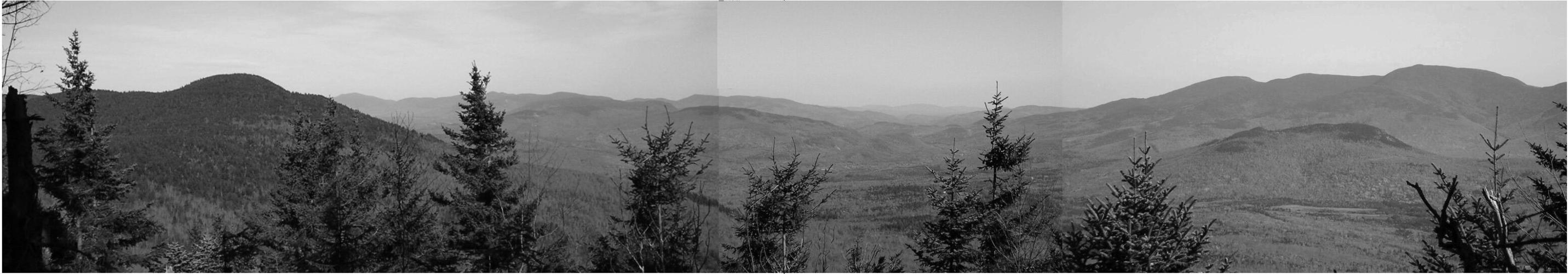 Viewshed Clearing on Mt.Randolph panoramic
