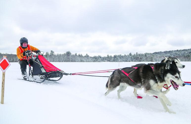 02-21-26 TOC Sled Dog corner lean