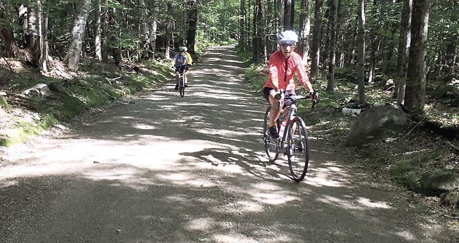 Wheel Family Fun - Rachel Anderson