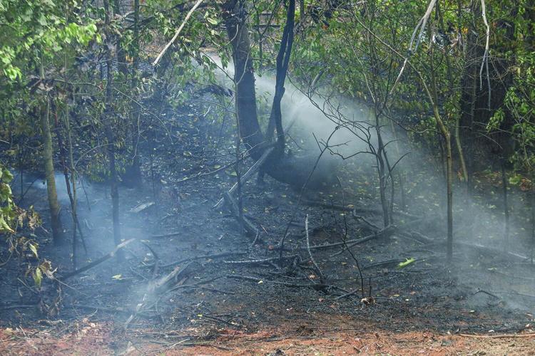 08-13-25 Holiday Inn-Brush Fire burnt patch tighter