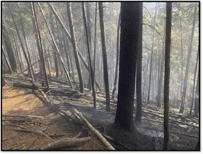 Bemis fire aftermath