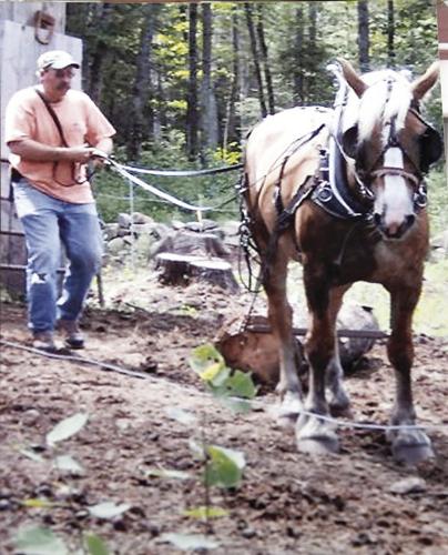 stoney horse