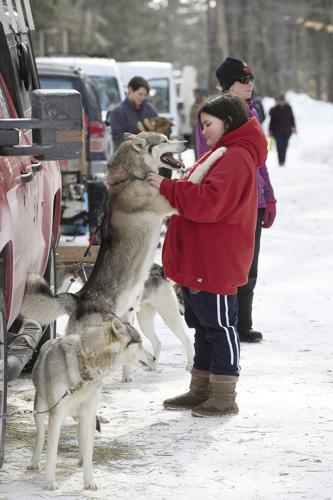 3-3-19 Tamworth sled dogs
