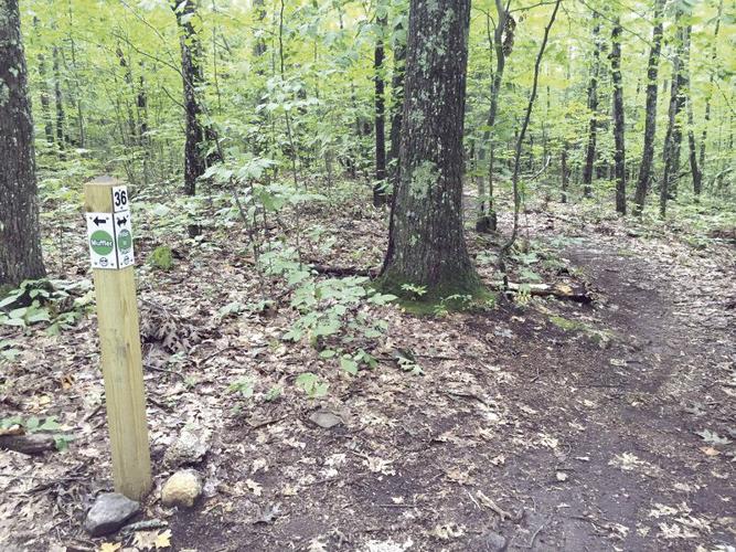 Wheel Family Fun - Pillar to Pond Trail