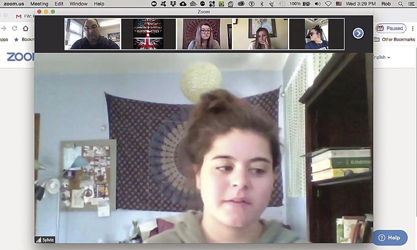 Sylvie Brustin - Zoom chat