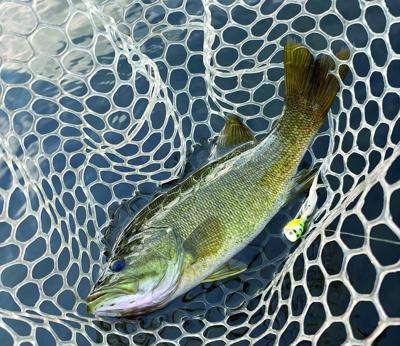 North Country Angling - Smallmouth bass