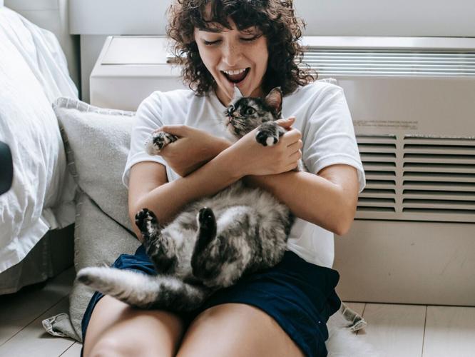 catty_featured