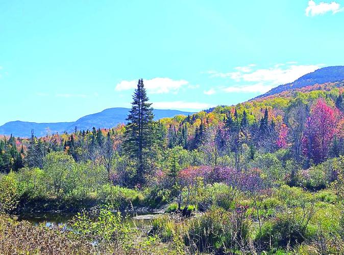 Wheel Family Fun - Fall foliage rides - Presidential Range Rail Trail