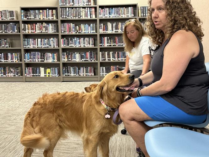 Therapy Golden Retrievers attend the June 19 Berlin school board meeting