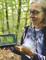 Greater Lovell Land Trust to present exploration of Loon Echo Land Trust Oct. 5