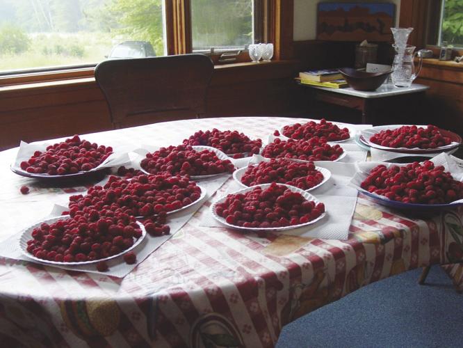 raspberrys on plates.jpg
