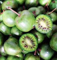 UNH Agricultural Research boosts New England’s Thanksgiving bounty