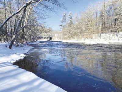 Green Mountain Conservation Group Polar Plunge