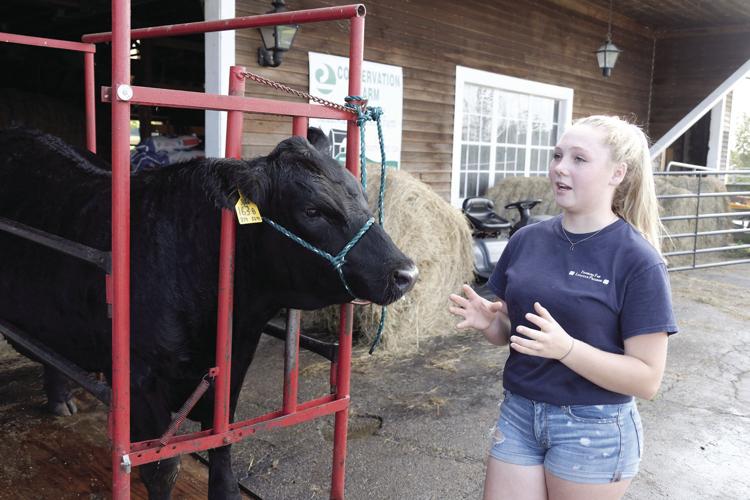 9-26-17 4H animals 2