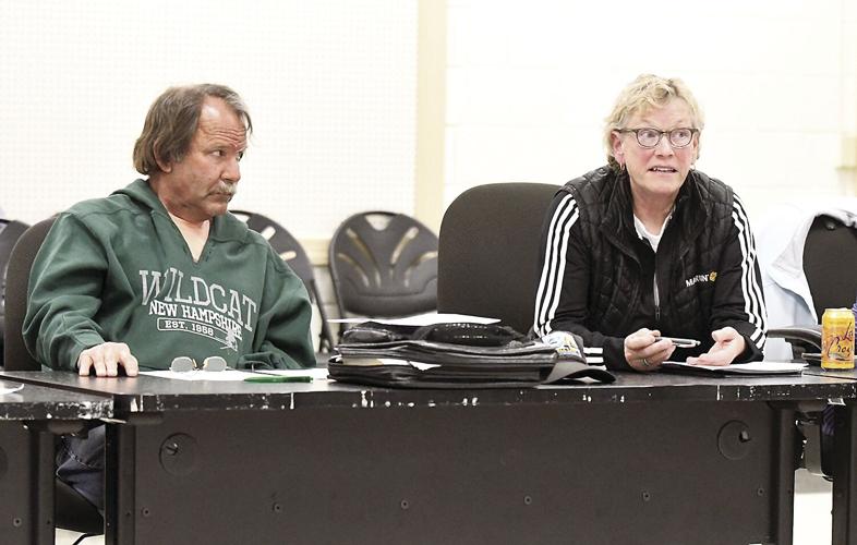 SAU 9 Board - interim superintendent - Suan Wiley and Scott Grant