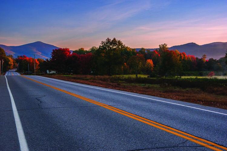 FOLIAGE (Runner-up overall ) - Sunrise on West Side