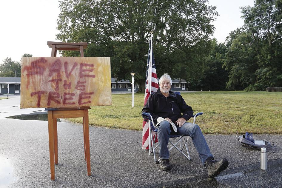 'Save the Tree' sit-in at Intervale hotel site