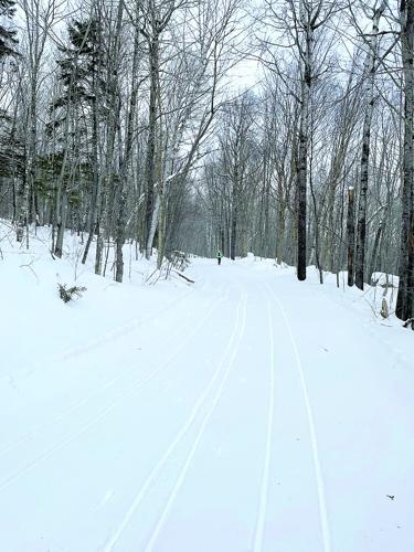 Nordic Tracks - skiing alone - East Pasture Loop