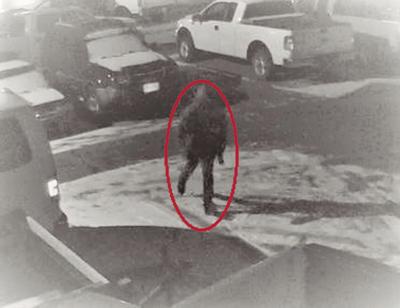 Conway catalytic converter thief
