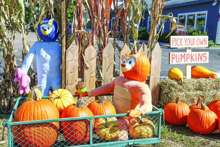 10-02-25 Pumpkin People fypo tightest