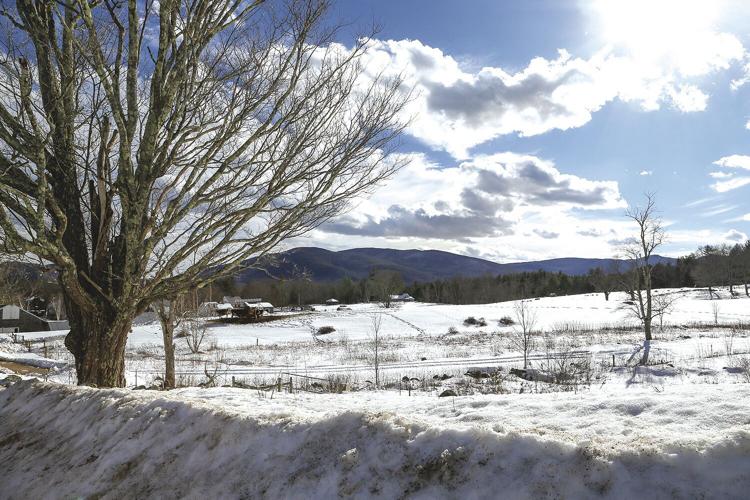 02-19-22 sunny field