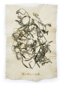 Papermaker from Rhode Island selected as 2019 Artist in Residence