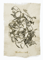 Papermaker from Rhode Island selected as 2019 Artist in Residence