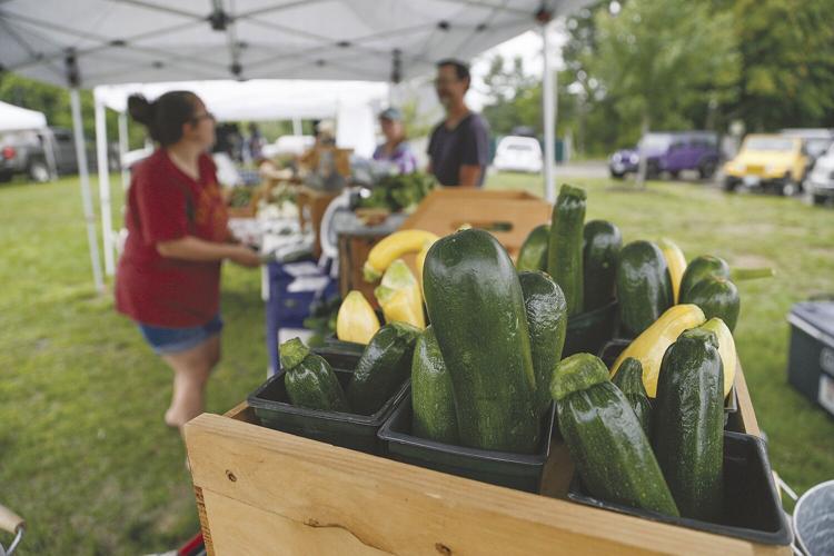 07-27-21 Farmer's Market squash tight