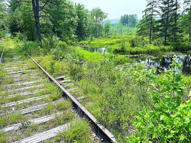 Wheel Family Fun - Chain of Ponds Community Forest - Conway Branch Railroad tracks