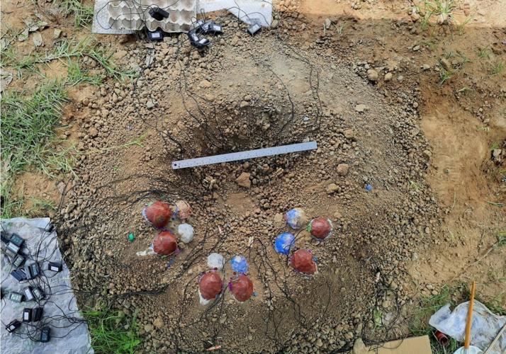 Dinosaurs hatched eggs less efficiently than modern birds, suggests study