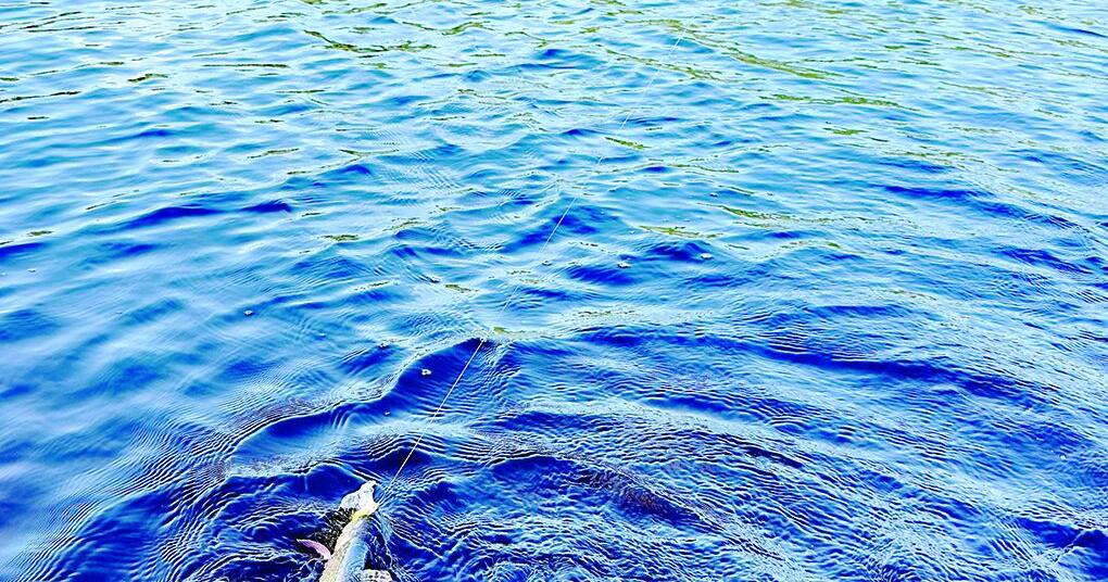 North Country Angling: Best July fishing in recent memory