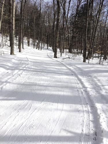 Nordic Tracks - Looking up Trail No. 6