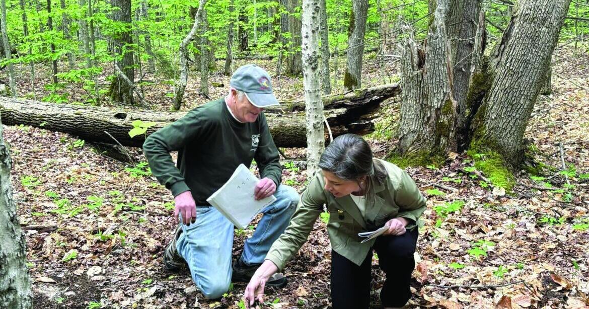 Forest experts meet with Goodlander hoping to save imperiled Bartlett Experimental Forest Jun 4, 2026 Jun 4, 2026 Updated 7 mins ago