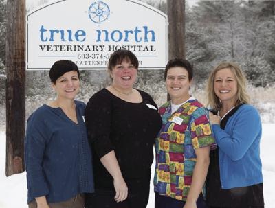 true north